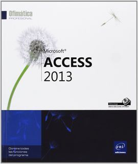 MICROSOFT ACCESS 2013