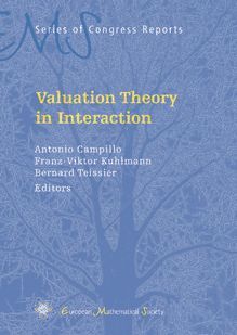 VALUATION THEORY IN INTERACTION
