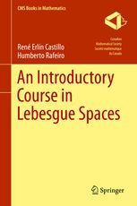 AN INTRODUCTORY COURSE IN LEBESGUE SPACES