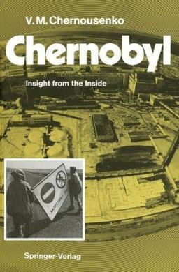 CHERNOBYL: INSIGHT FROM THE INSIDE