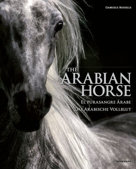 ARABIAN HORSES