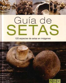GUÍA DE SETAS