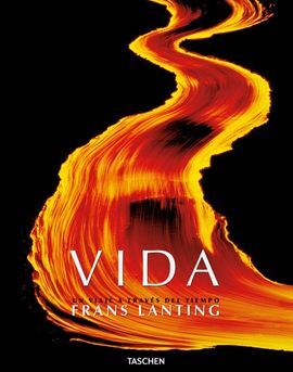 VIDA