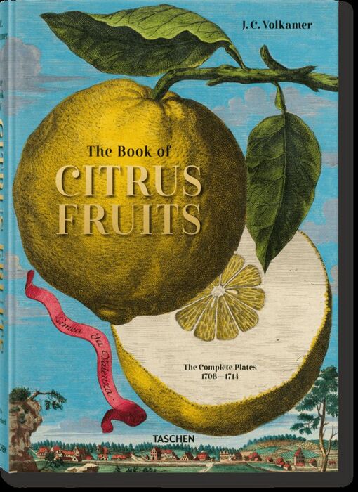 J. C. VOLKAMER. THE BOOK OF CITRUS FRUITS