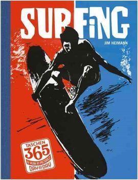 DAY BY DAY SURFING