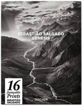 GENESIS SALGADO. POSTER BOX