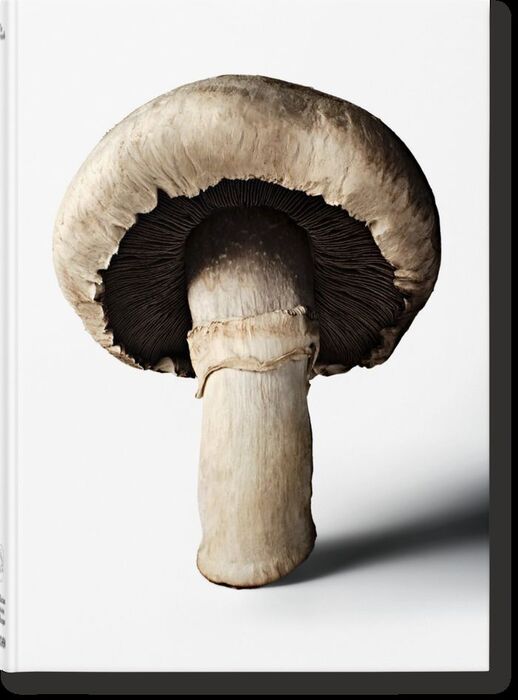 THE GOURMAND'S MUSHROOM                                         S