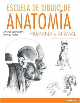 ESCUELA DIBUJO ANATOMIA HUMANA Y ANIMAL