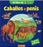 CABALLOS Y PONIS
