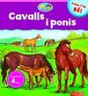 CAVALLS I PONIS