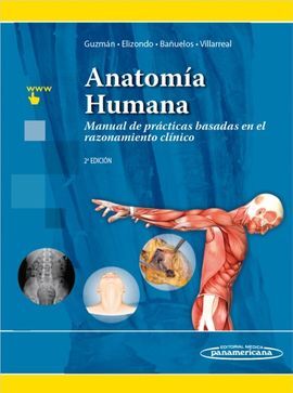 ANATOMÍA HUMANA