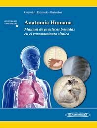 ANATOMÍA HUMANA