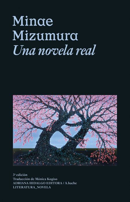 UNA NOVELA REAL
