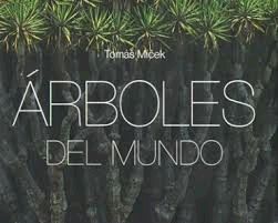 ÁRBOLES DEL MUNDO