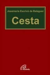 CESTA (CAMINO - CHECO)