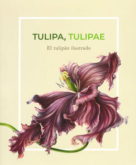 TULIPA TULIPAE: EL TULIPÁN ILUSTRADO