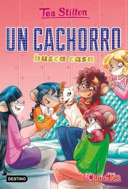 TS-VR35. UN CACHORRO BUSCA CASA