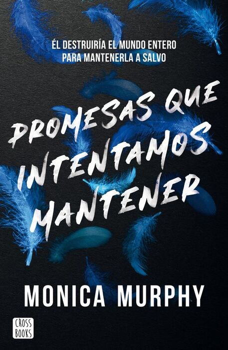 PROMESAS QUE INTENTAMOS MANTENER