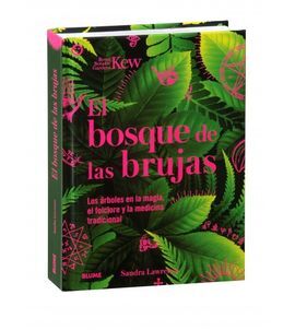 BOSQUE DE LAS BRUJAS