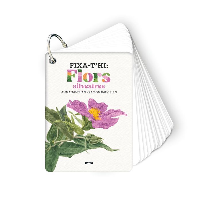 FIXA-T'HI: FLORS SILVESTRES