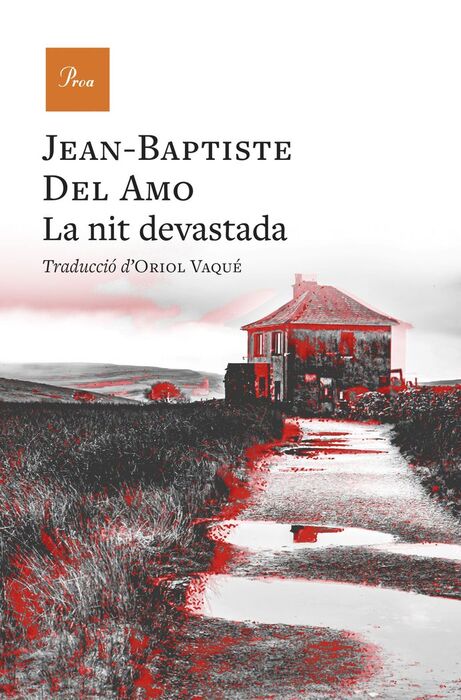 LA NIT DESVASTADA