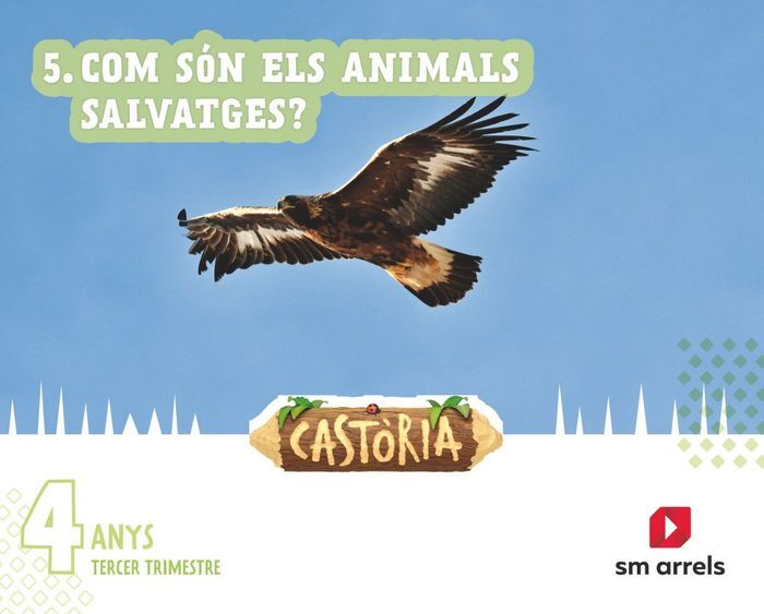 V - 4 AÑOS CASTORIA 3T