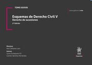 ESQUEMA DE DERECHO CIVIL V