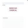 DERECHO SINDICAL (4ª EDICION)