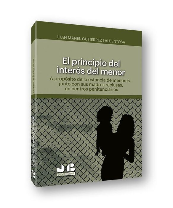 PRINCIPIO DEL INTERÉS DEL MENOR.