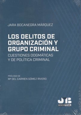 DELITOS DE ORGANIZACIÓN Y GRUPO CRIMINAL. CUESTION