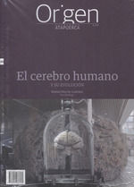 EL CEREBRO HUMANO