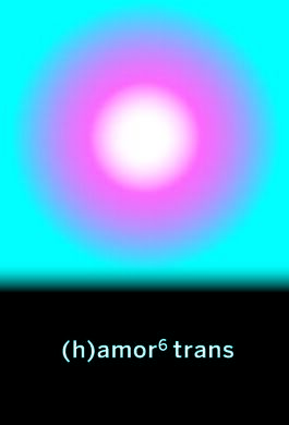 (H)AMOR 6 TRANS