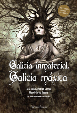 (G).GALICIA INMATERIAL, GALICIA MAXICA