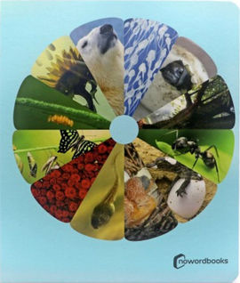 LOS CILOS DE LA VIDA