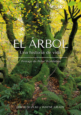 EL ÁRBOL