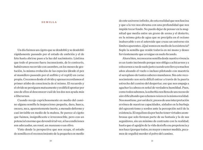 ÁRBOL DE LA MEDITACIÓN