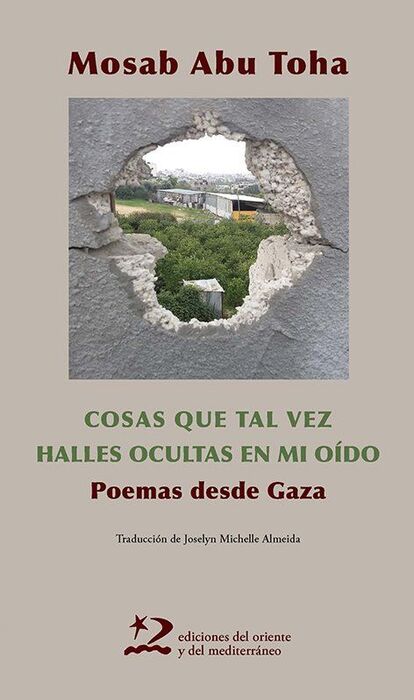 COSAS QUE TAL VEZ HALLES OCULTAS EN MI OÍDO