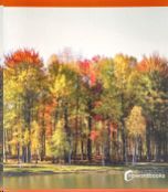 OTOÑO