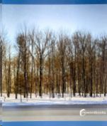 INVIERNO