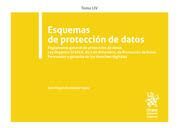 ESQUEMAS DE PROTECCIÓN DE DATOS