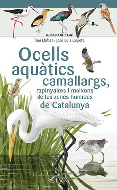OCELLS AQUÀTICS CAMALLARGS, RAPINYAIRES I MOIXONS