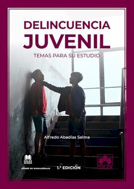 DELINCUENCIA JUVENIL: TEMAS PARA SU ESTUDIO