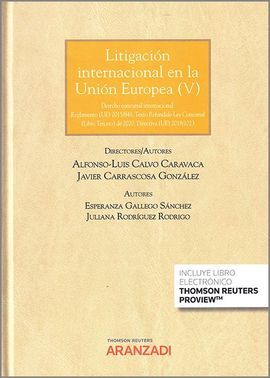 LITIGACIÓN INTERNACIONAL EN LA UNIÓN EUROPEA V