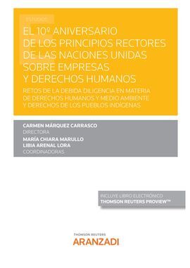 EL 10º ANIVERSARIO DE LOS PRINCIPIOS RECTORES DE LAS NACIONES UNIDAS SOBRE EMPRE