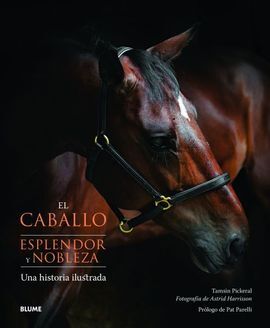 EL CABALLO. ESPLENDOR Y NOBLEZA