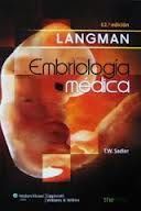 LANGMAN EMBRIOLOGÍA MÉDICA (12ª ED.)