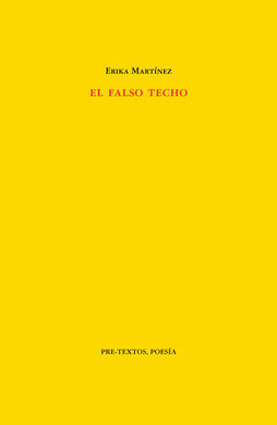 EL FALSO TECHO