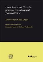 PANORAMICA DEL DERECHO PROCESAL CONSTITUCIONAL Y CONVENCIONAL