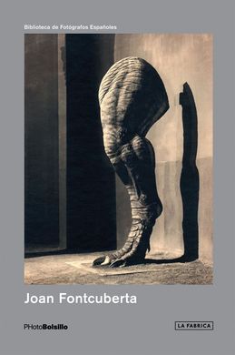 JOAN FONCUBERTA