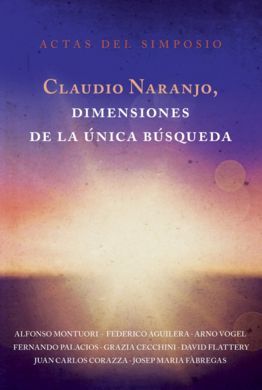 DIMENSIONES DE LA ÚNICA BÚSQUEDA